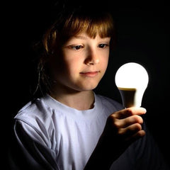 Ledison Globe LED Bulb - 5W, E27, A65, Warm White, 2700K, 230V