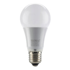 Ledison Globe LED Bulb - 8W, E27, A65, Warm White, 2700K, 230V