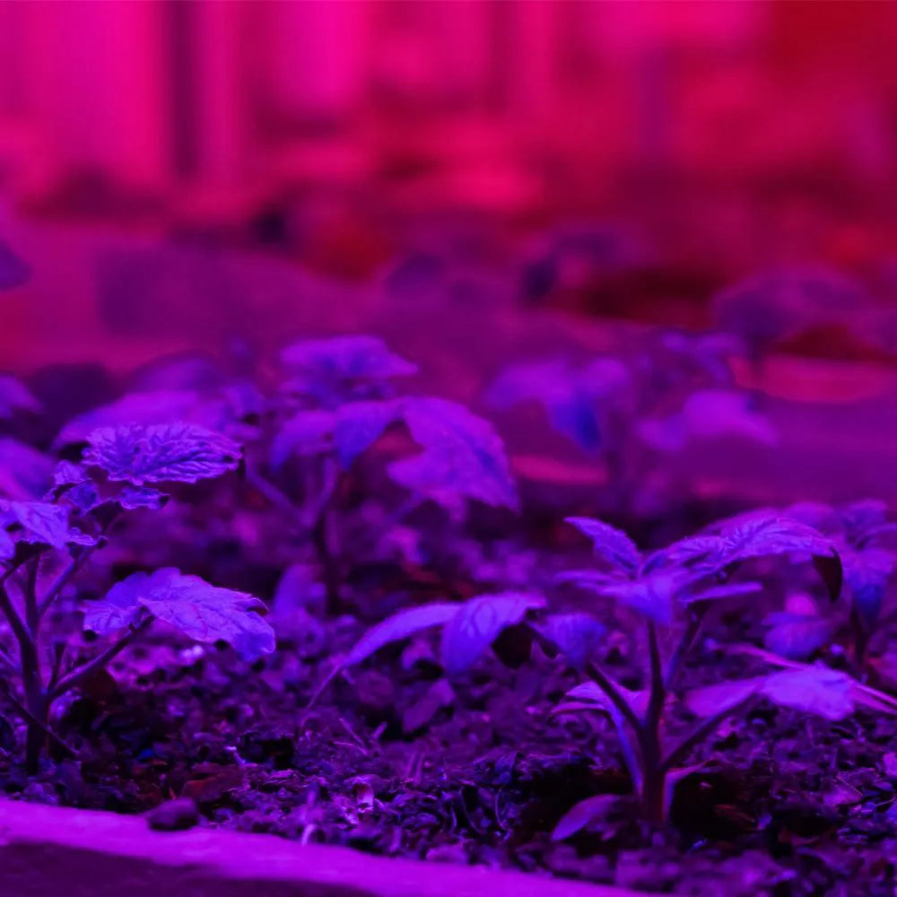 185W LED Grow Lights - Horticulture-Agricultural Lighting